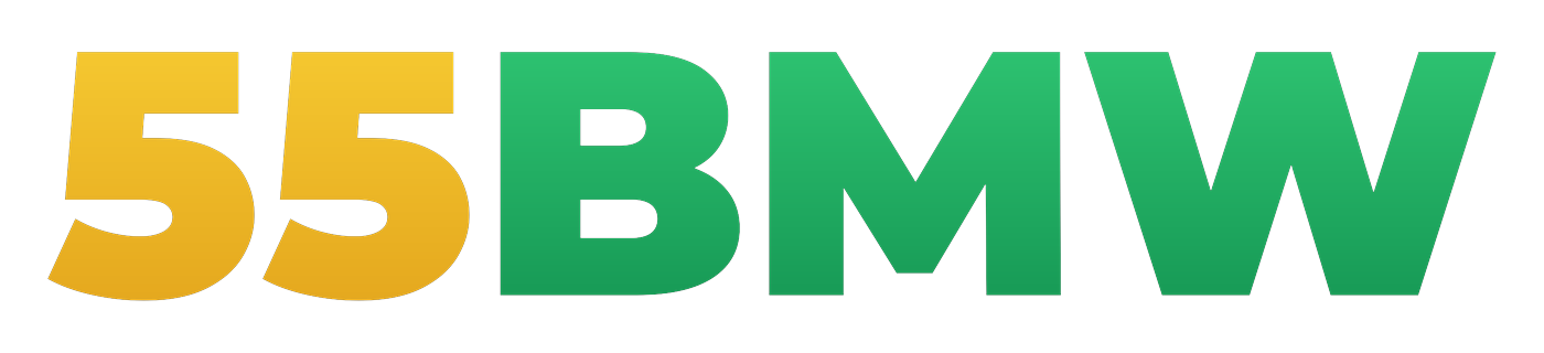 55bmw.com